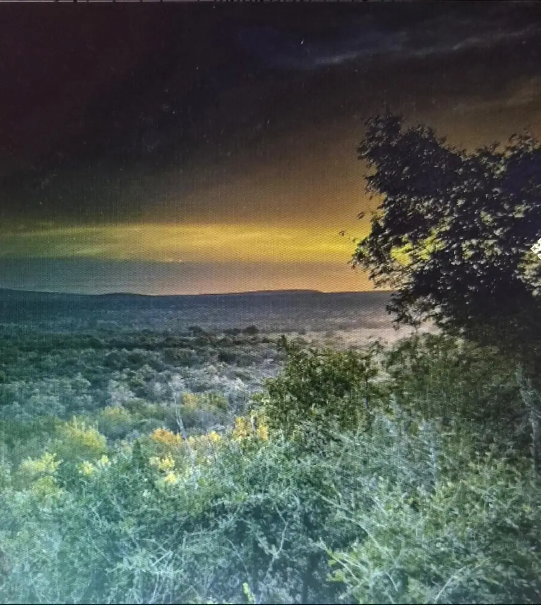 Sunset over bushveld ridges and a dark tree in the foreground